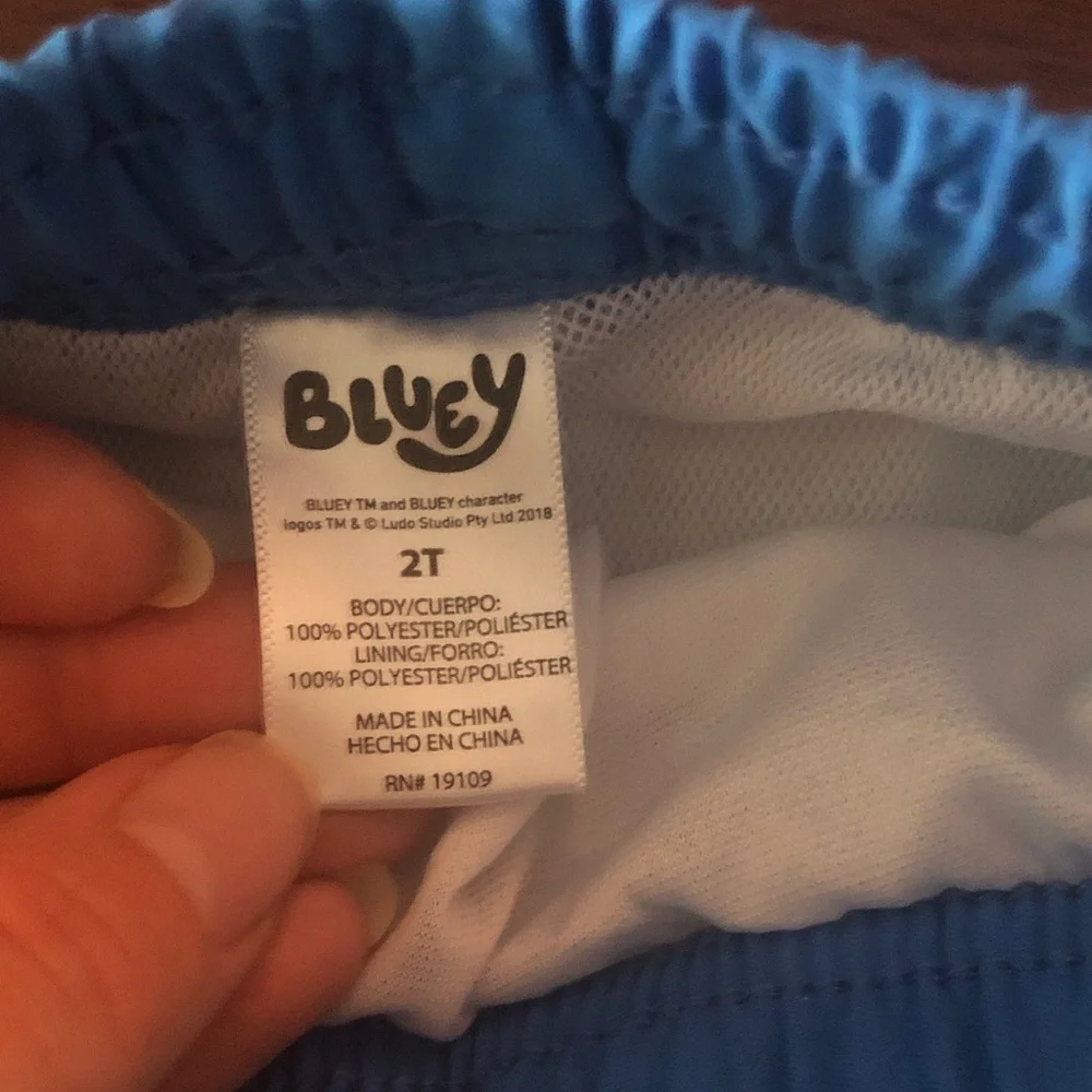 👰🏻‍♀️ Bluey 2T Long Sleeve Swim Top & Swim Trunks
